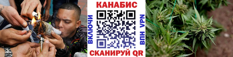 Шишки марихуана Bruce Banner  Бологое 